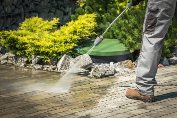 Best Sign and Awning Cleaning  in Lemont, IL